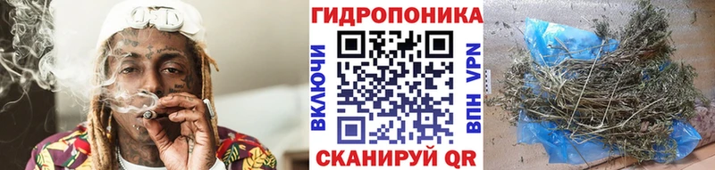 Шишки марихуана ГИДРОПОН  Заволжск 